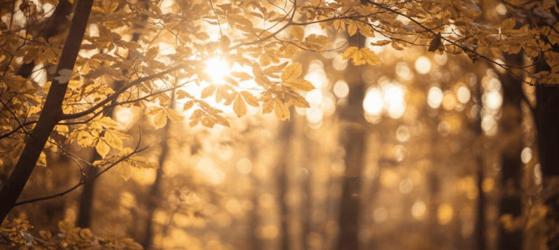 Eulogy - Een moment van bezinning